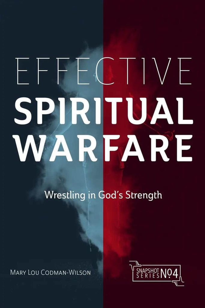 Effective Spiritual Warfare - MissionBooks.org